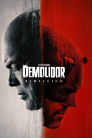 Demolidor: Renascido: Season 1